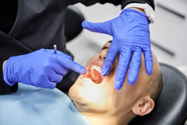 Best Holiday Emergency Dentist in Quincy, MI